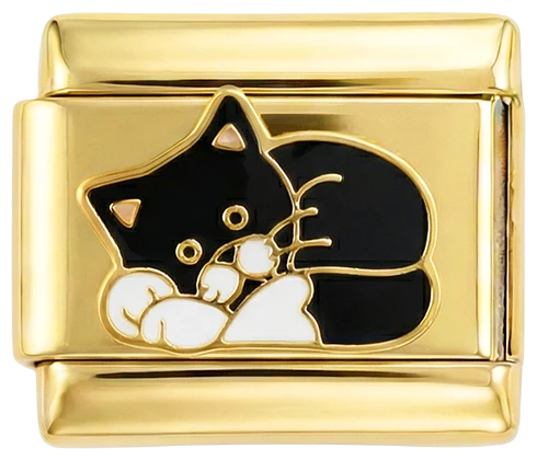 Black & White Cat Laying Down on Gold