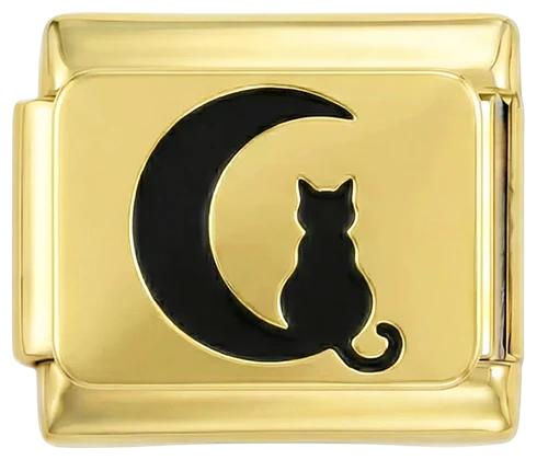 Cat and Moon