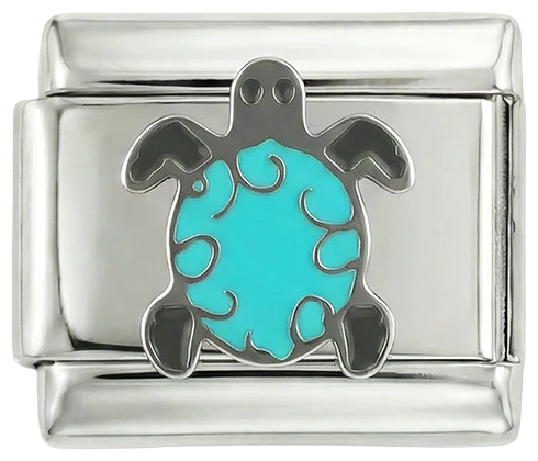 Turquoise Turtle
