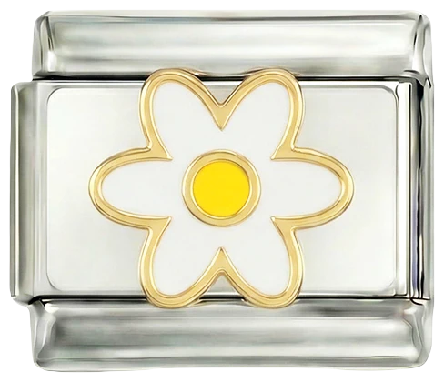 White Daisy and Her Yellow Heart