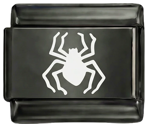 White Spider on Black