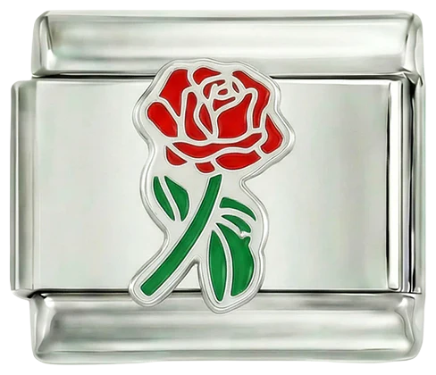 Whole Red Rose with Its Green Stem